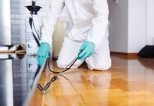 Effective Strategies for a Pest-Free Environment: Understanding Pest Management in Singapore Pest Management