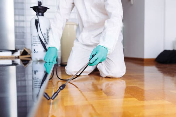 Pest Management Pest Management