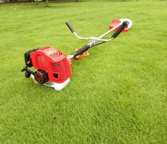 Choosing the Right Grass Trimmer for Lawn Edging and Maintenance Grass Trimmer